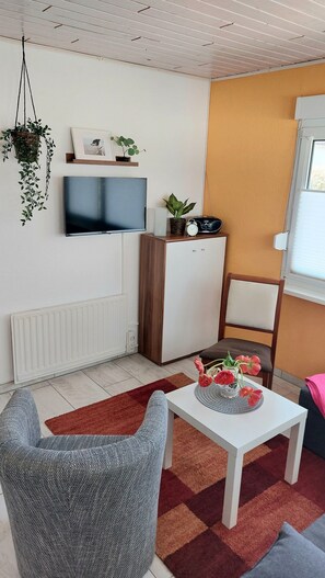 Fernseher, DVD-Player, Stereoanlage