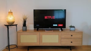 Un téléviseur posé sur un meuble en bois, avec l’interface Netflix affichée à l’écran, une lampe et deux plantes en pot.