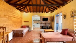A cozy room with wooden walls, a stone fireplace, a television, and a bed with a red pillow.