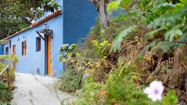 A narrow pathway leading to a blue building with a tiled roof, surrounded by dense vegetation and a single visible door.