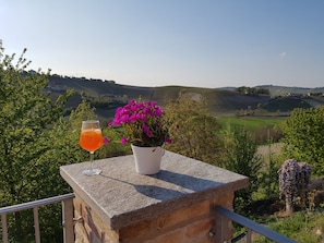 Property grounds - Cascina del Noce - Alba. Spacious apartment with exceptional views and pool (Balbi)