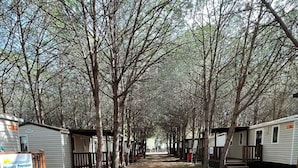 A row of RVs and mobile homes in a wooded area with a clear path between them. - Mobilehome mit Klimaanlage und Terrasse (Lotzorai)