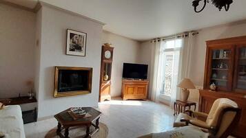 Smart TV, fireplace, books