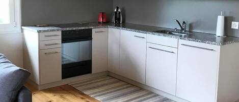 Frigorífico, microondas, horno y placa de cocina