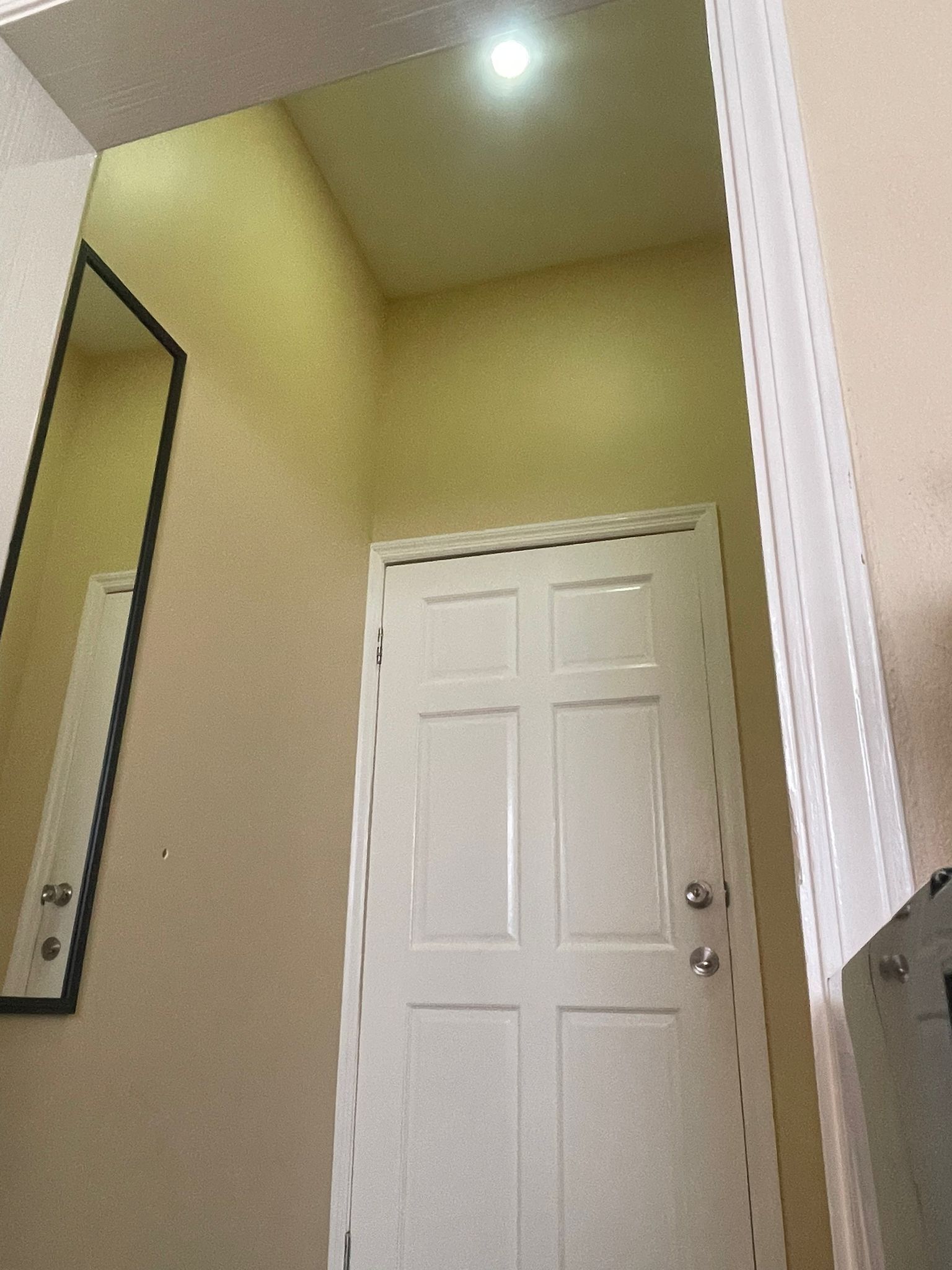 A white door with a mirror on the wall, a ceiling light, and a plain wall.
