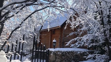 A log cabin with a stone wall and a metal gate, surrounded by snow-covered trees.