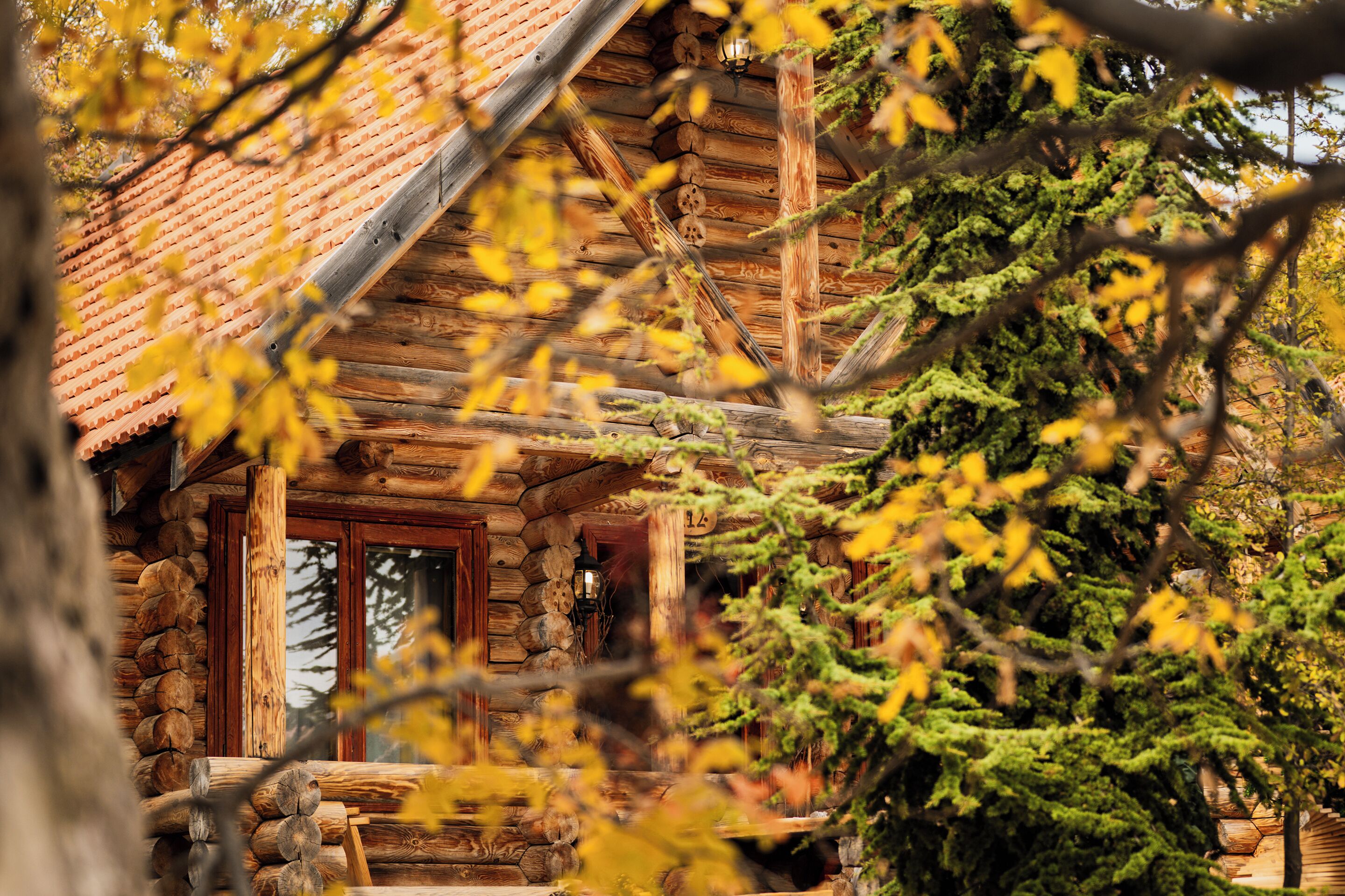 A rustic log cabin with a stone foundation, wooden exterior, and a red-tiled roof.