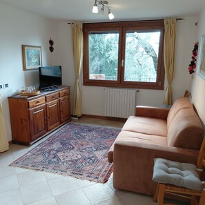 Un salon avec un canapé, un téléviseur posé sur un meuble en bois, un tapis à motifs et une fenêtre avec des rideaux.