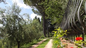 A pathway lined with trees and a metal fence. - CASALE ASCIOLO (Le Case San Romolo)