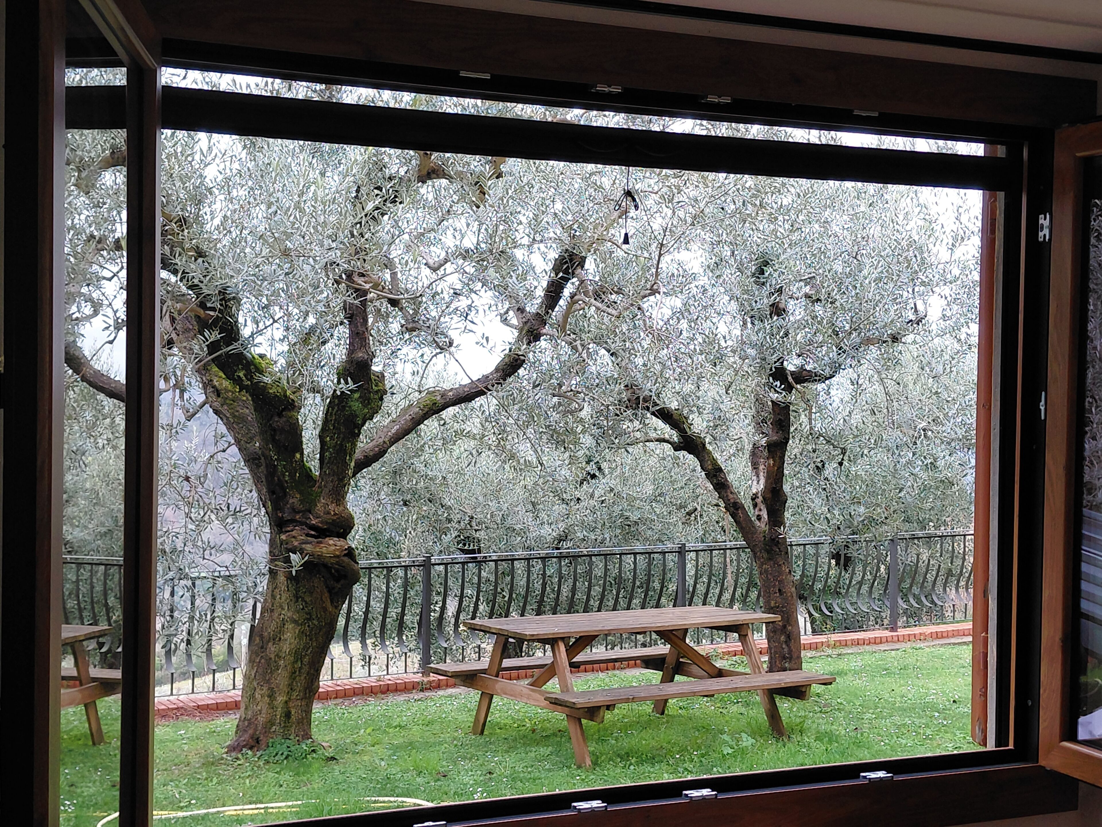 Restauration en plein air