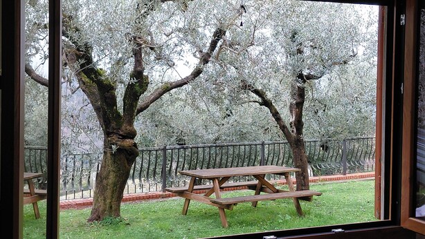 A view through a window of a wooden picnic table and a tree-lined yard. - CASALE ASCIOLO (Le Case San Romolo)