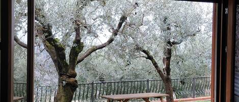 Restauration en plein air