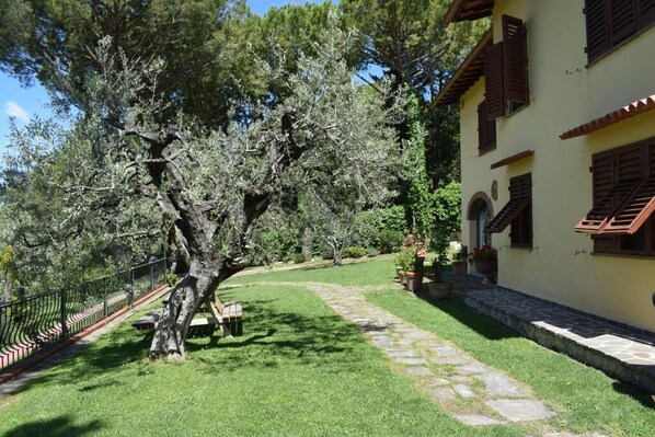 Áreas de la propiedad