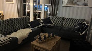 Fernseher, Kamin, Bücher