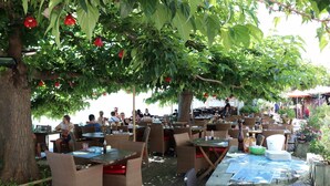 Un área de comedor al aire libre con mobiliario de mimbre y mesas bajo un dosel de árboles.