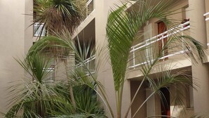 Un patio con palmeras y un sendero de grava.