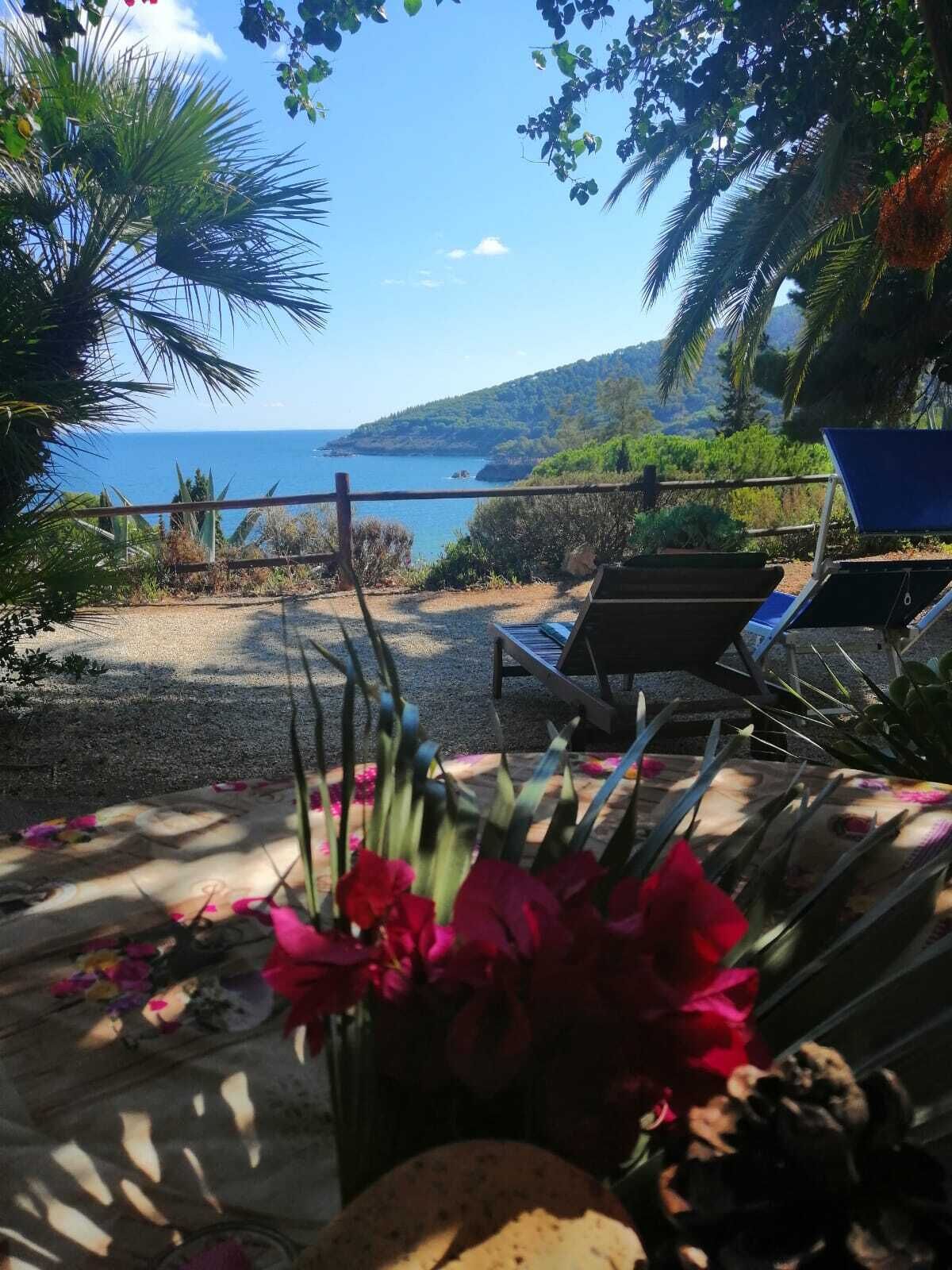 A beachside view with a clear sky, a sandy area, and a few lounge chairs.