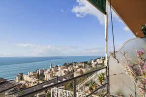 Un balcon donnant sur une ville côtière, un moustiquaire et des plantes en pot.