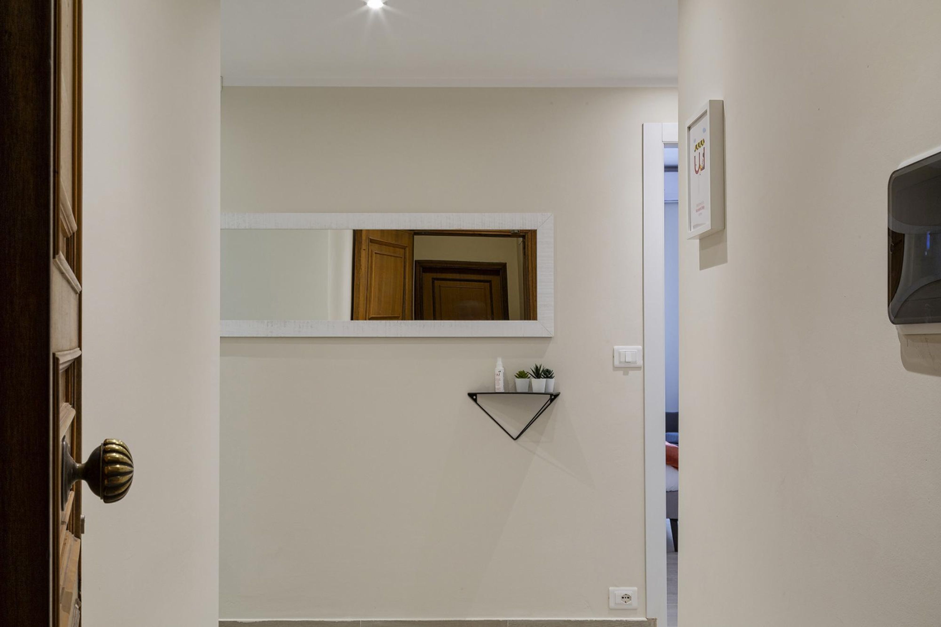 A hallway with a wooden door, a small shelf with plants, and a framed mirror on the wall.