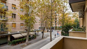 Vista de una calle con edificios de ladrillo, árboles con hojas otoñales y un paso de peatones.