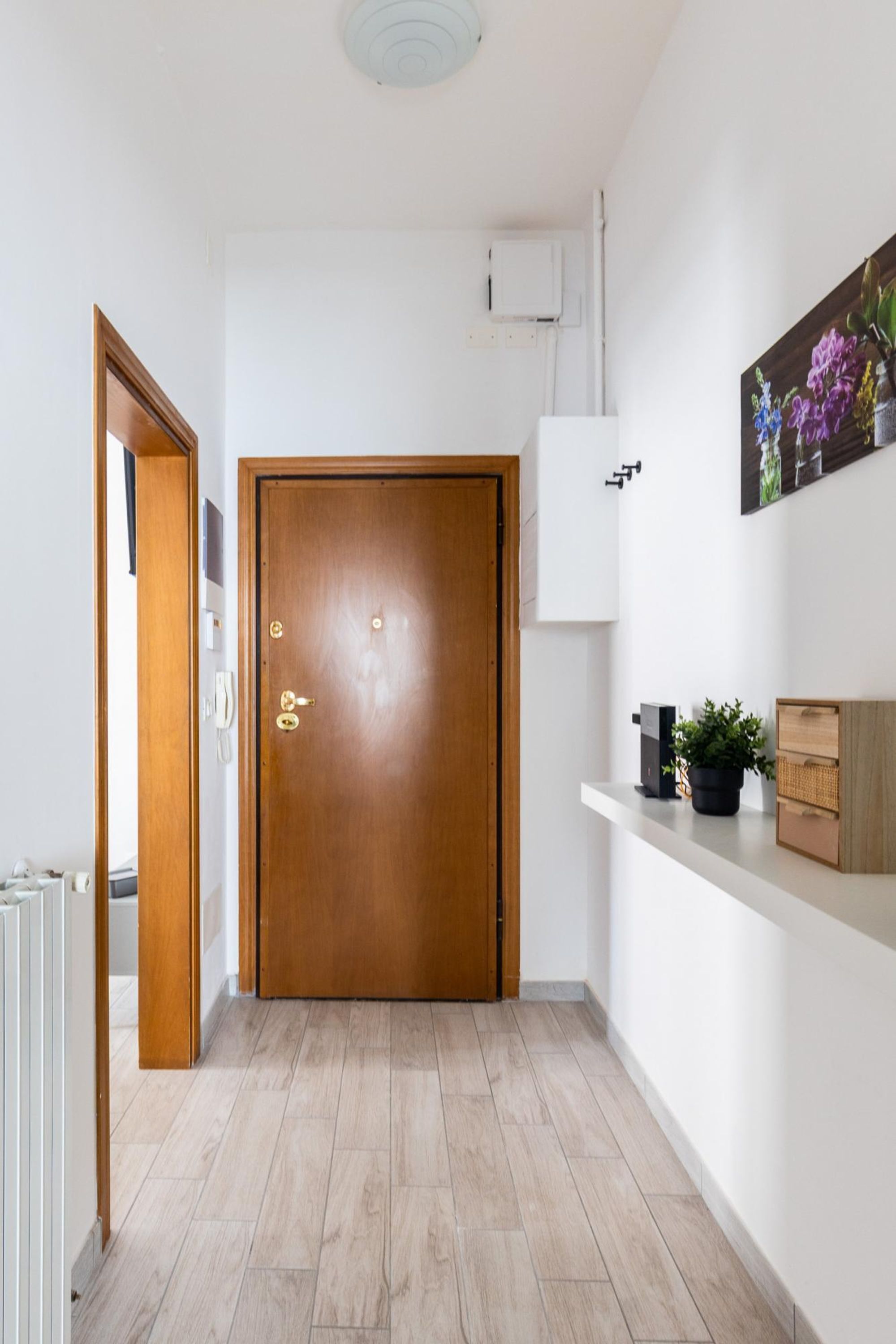 A hallway with a wooden door, a white wall, a radiator, and a shelf with a plant and a small cabinet.