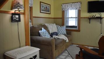 TV connectée, cheminée, lecteur de DVD, livres