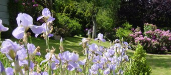 Apartment in a half-timbered house 4 km to the ski lift carousel or Rothaarsteig