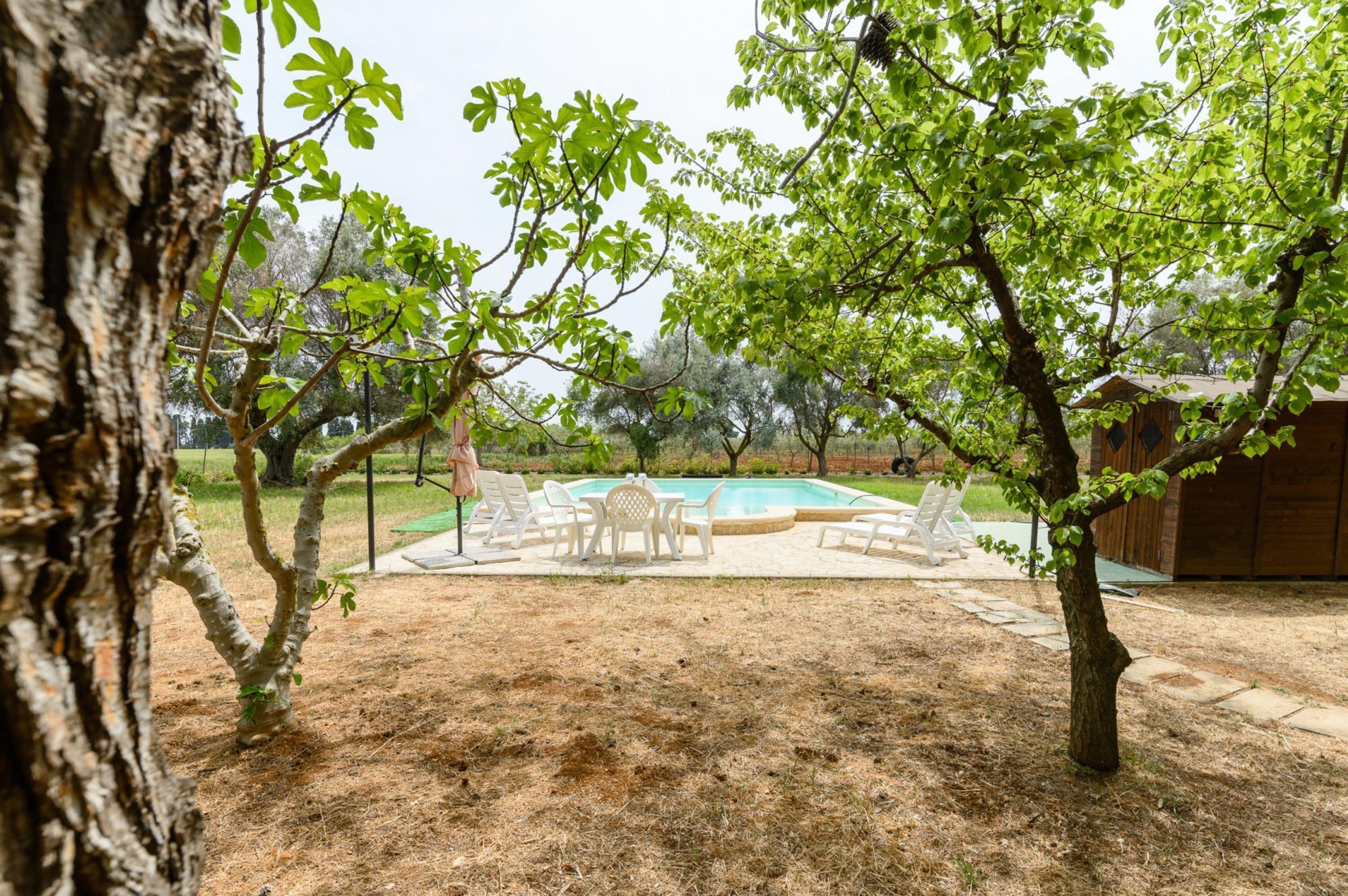 A backyard with a swimming pool, patio furniture, and a wooden shed.