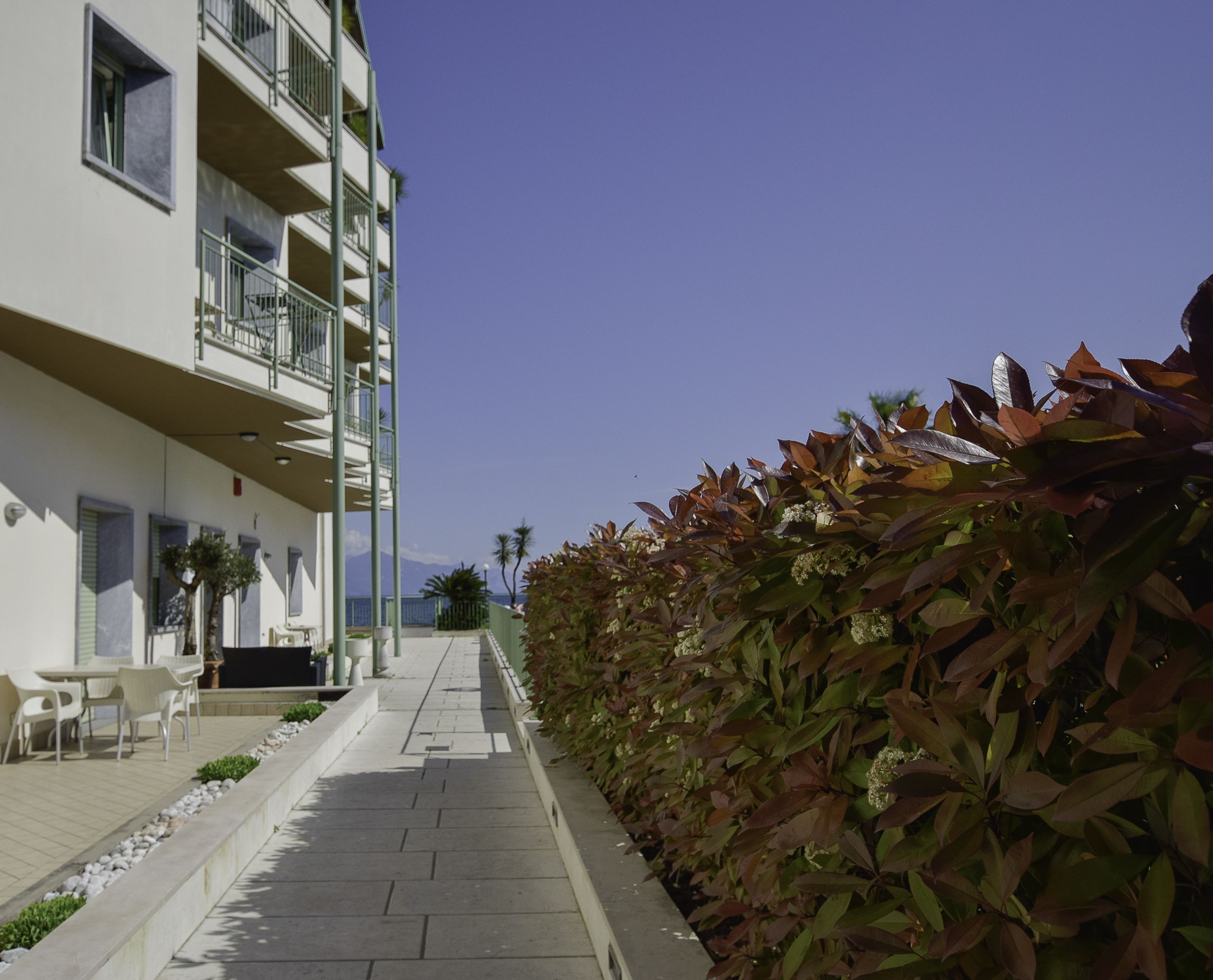 A pathway flanked by a building with balconies and a hedge with autumn leaves.
