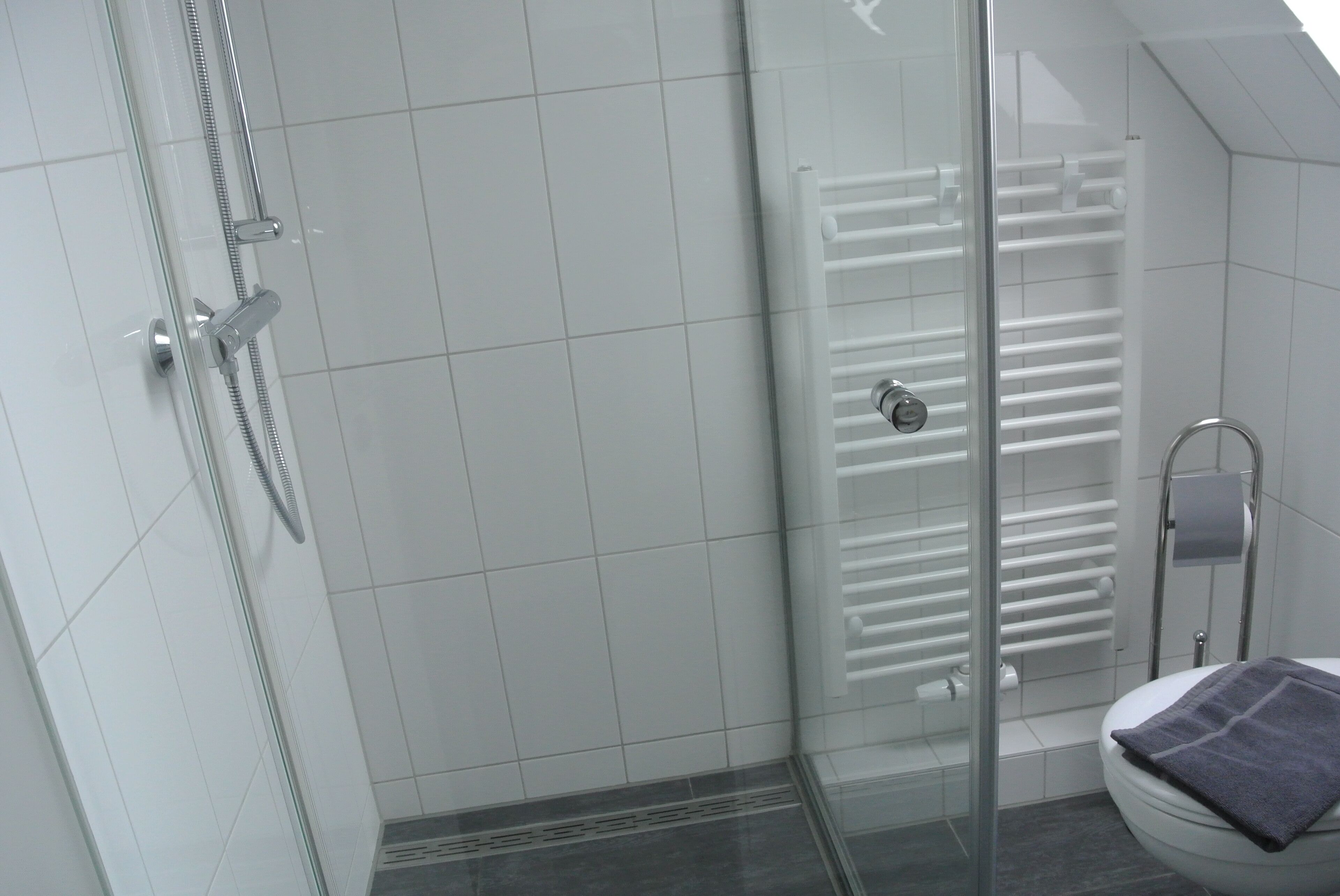 Dusche, Haartrockner, Handtücher, Toilettenpapier