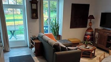 Televisión y libros