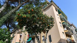 Un immeuble à plusieurs étages doté de balcons, un arbre aux fruits oranges et un ciel bleu clair.