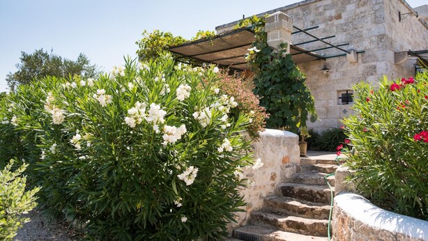 Un bâtiment en pierre doté d’un jardin, d’un escalier menant à l’entrée et d’une pergola au-dessus de l’escalier.