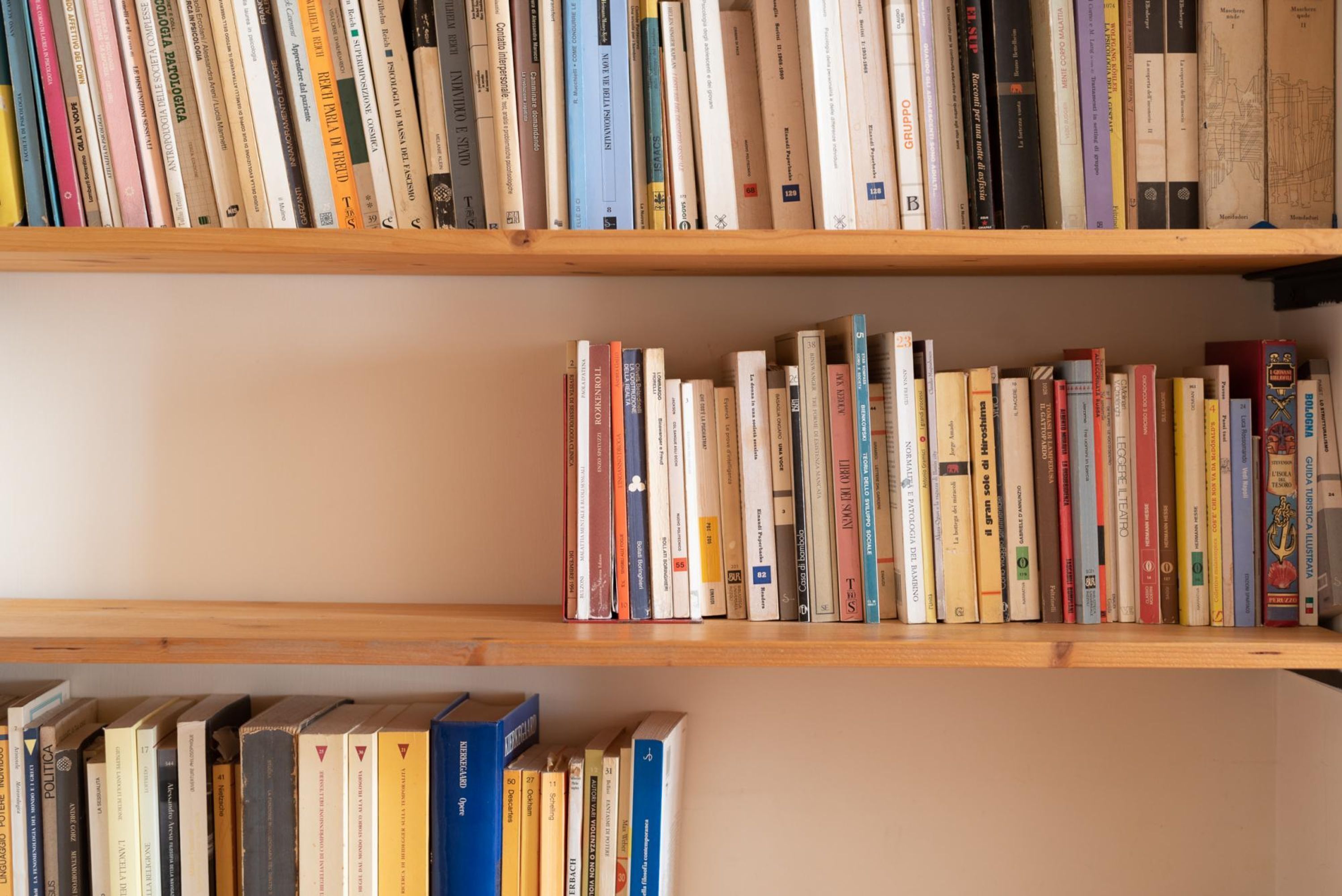 Uma estante com várias fileiras de livros.