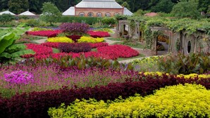 A garden with colorful flower beds, a building with a tiled roof, and a mountainous backdrop. - Sleeps 20! Fire Pit, Hot Tub & Amazing Location! (Asheville)