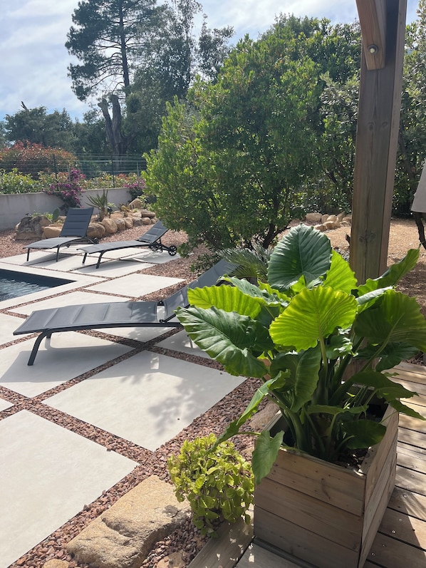 Un patio con sillones de sol y una jardinera de madera con hojas verdes grandes.