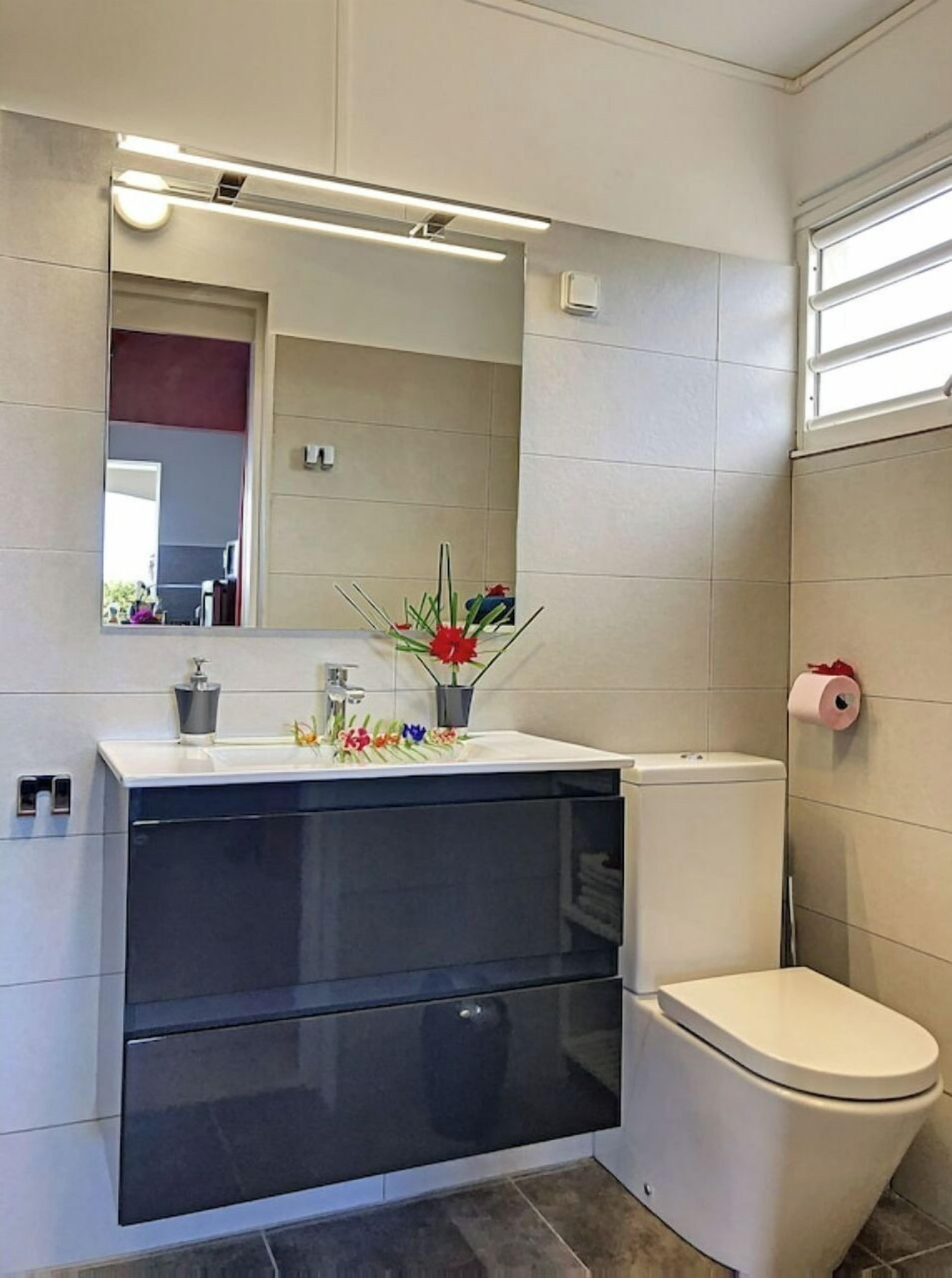 A modern bathroom with a white sink, a mirror, a toilet, and a small plant on the sink.