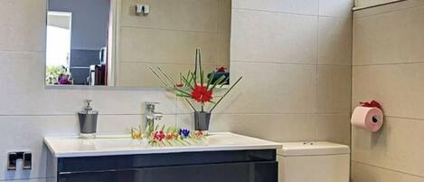 A modern bathroom with a white sink, a mirror, a toilet, and a small plant on the sink.