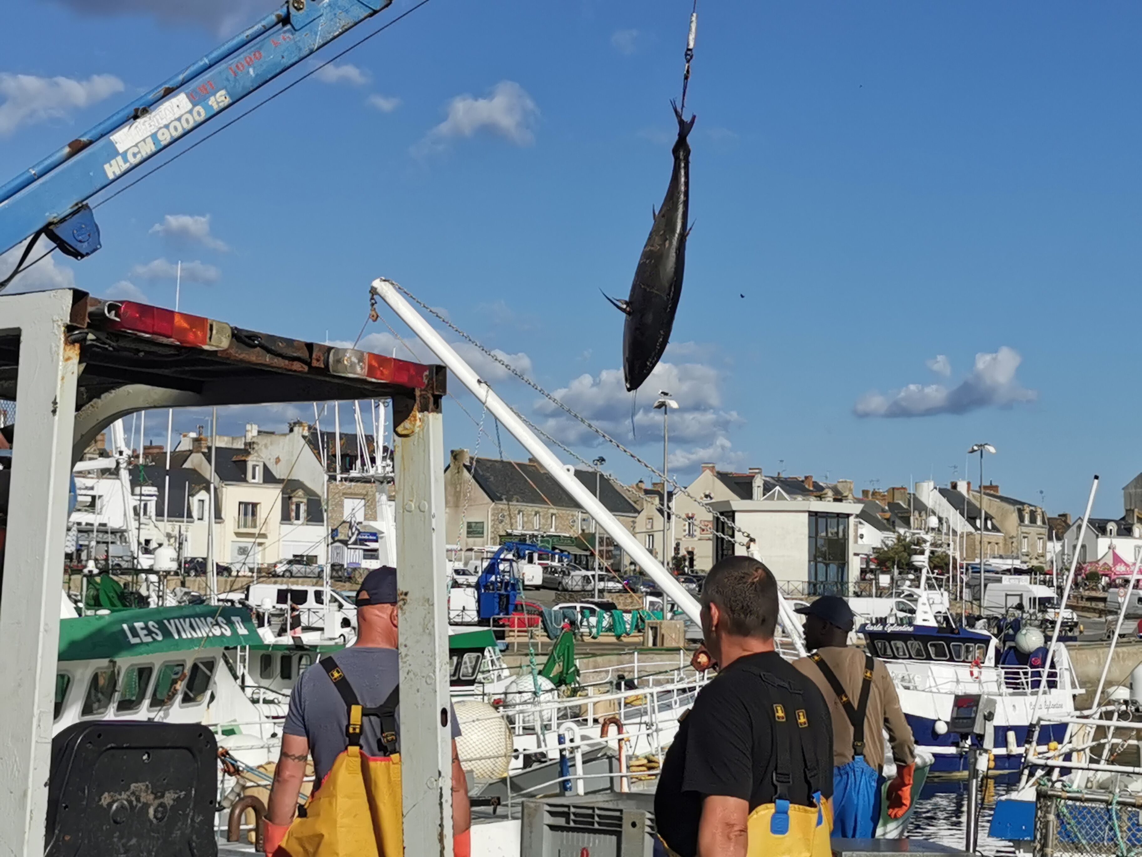 Un port avec des bateaux et une grue soulevant un gros poisson.
