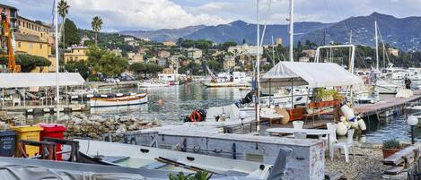 Appartement | 1 chambre