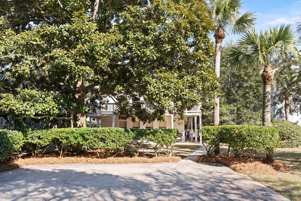 A pathway leading to a building with a covered entrance, surrounded by well-maintained hedges and trees. - East Beach Cottage with EZ beach access, sleeps 10 (St Simons Island)