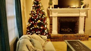 TV connectée, cheminée, lecteur de DVD, livres