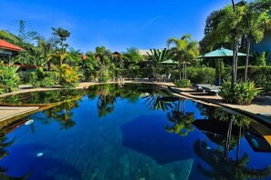 Una piscina cristalina rodeada de exuberante vegetación y palmeras, con sillas de descanso y sombrillas.