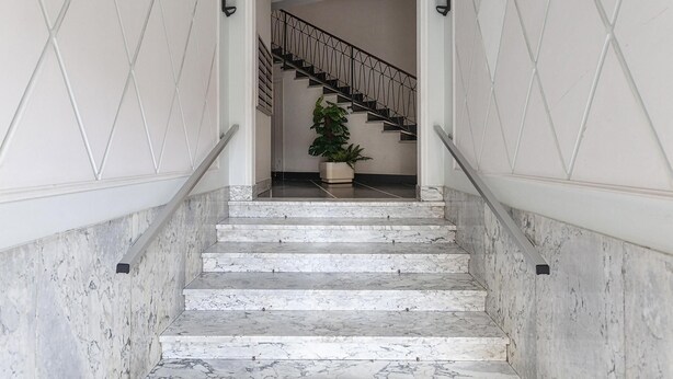 Uma escadaria de mármore que leva a um patamar com uma planta em vaso.