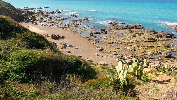 A rocky beach with a cactus in the foreground and mountains in the background. - Villetta Rosamarina by Wonderful Italy (Cefalù)