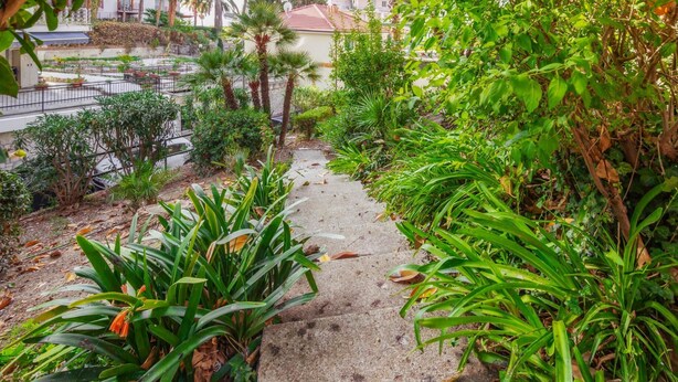 Un camino de concreto bordeado por plantas y árboles de exuberante follaje, que conduce a un edificio con techo de tejas rojas.