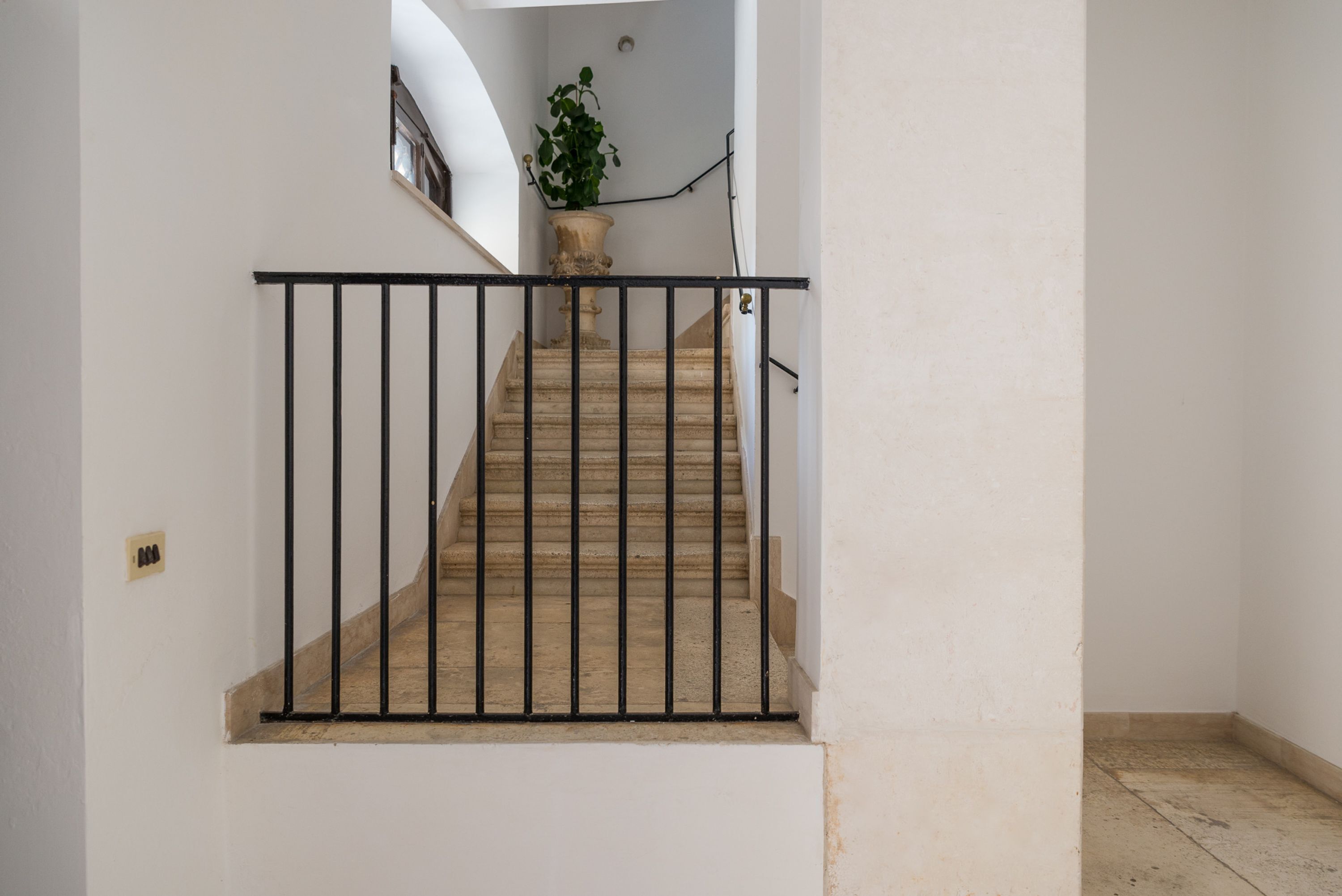 A staircase with a black metal railing, a potted plant at the top, and a white wall.