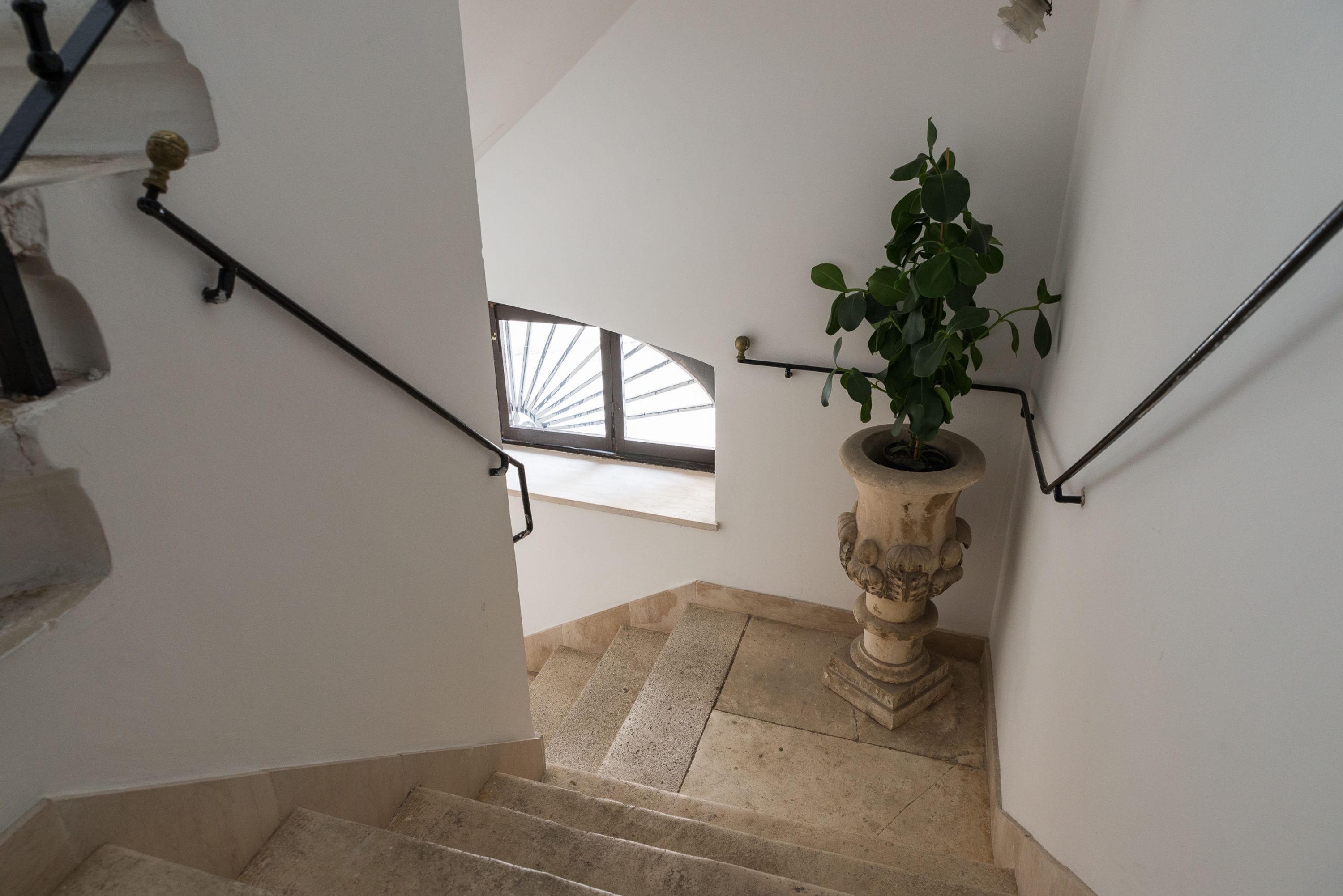 A staircase with a potted plant, a window, and a stone wall.