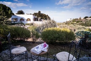 Apartment | 1 Schlafzimmer