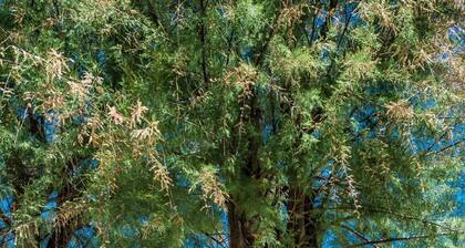 La Casa di Sara a Mondello by Wonderful Italy